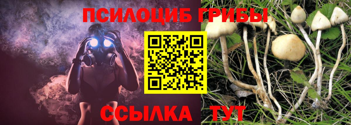 Галлюциногенные грибы Psilocybe  Вход с VPN  магазин  наркотиков  Галлюциногенные грибы MAGIC MUSHROOMS  Нижнекамск 